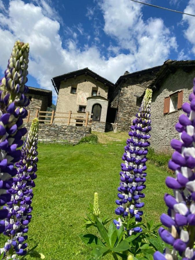 Casa Alpina San Luigi Hotel Campodolcino Luaran gambar